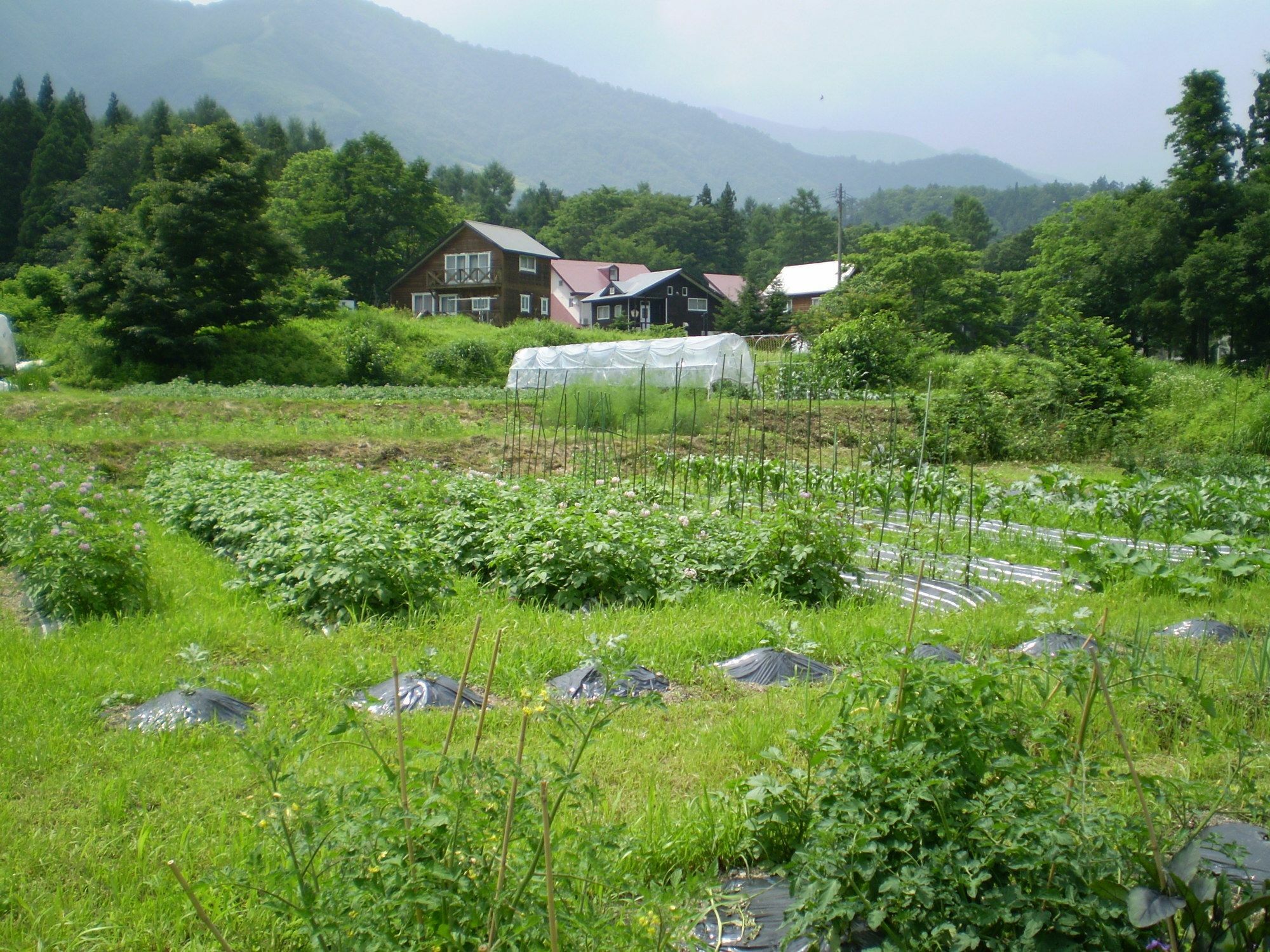 ペンション ちゃうちゃう Bed and Breakfast Χακούμπα Εξωτερικό φωτογραφία